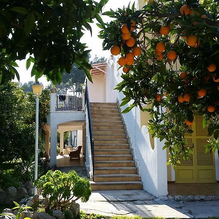 Hotel Amistad Peguera Exterior foto